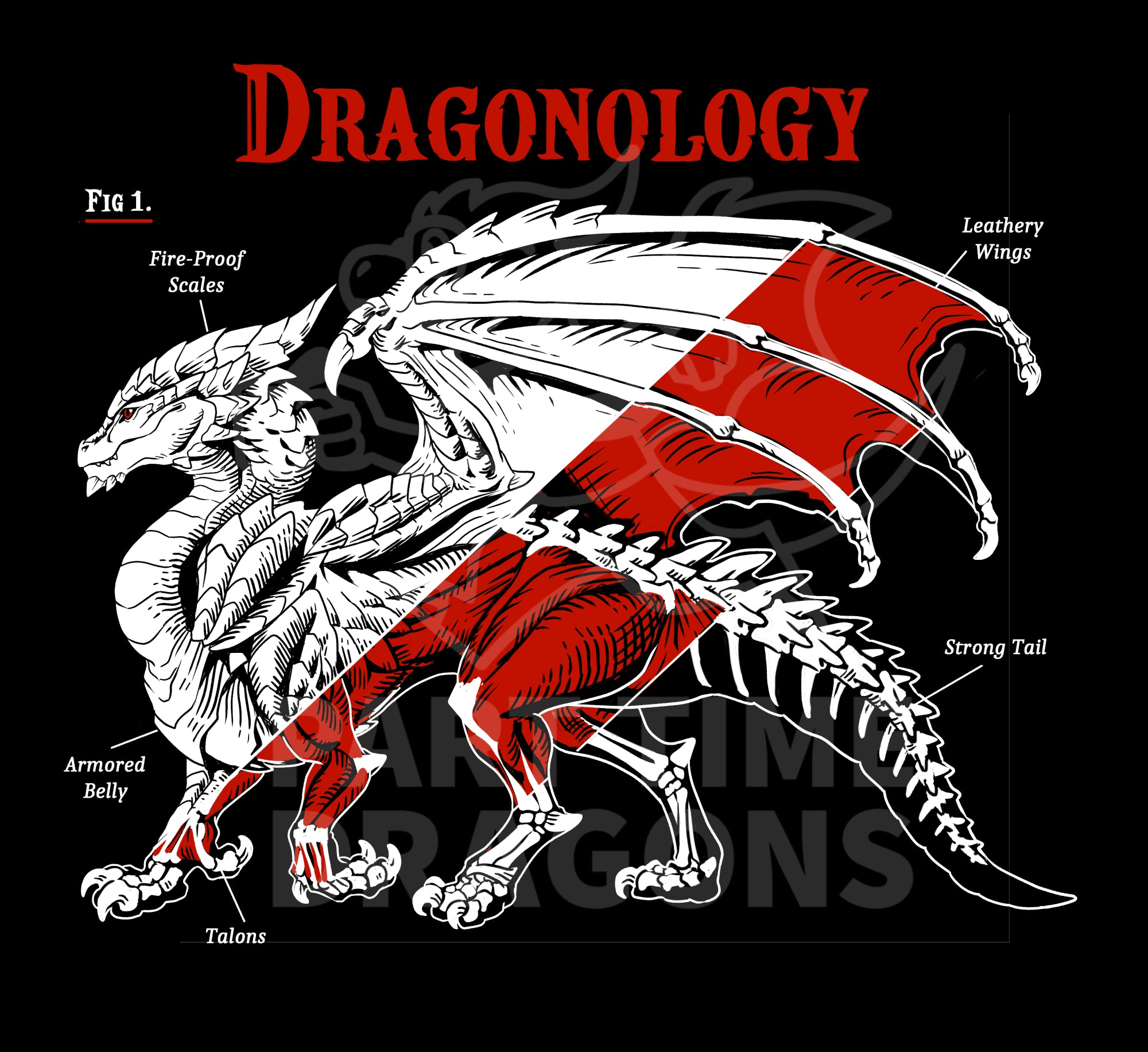 Dragonology Sticker