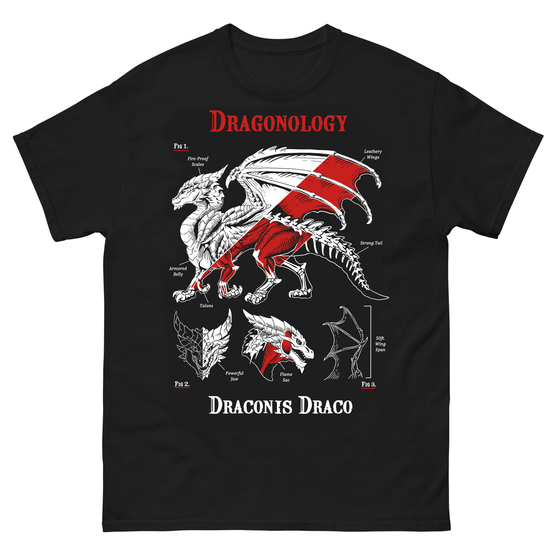 Dragonology Shirt