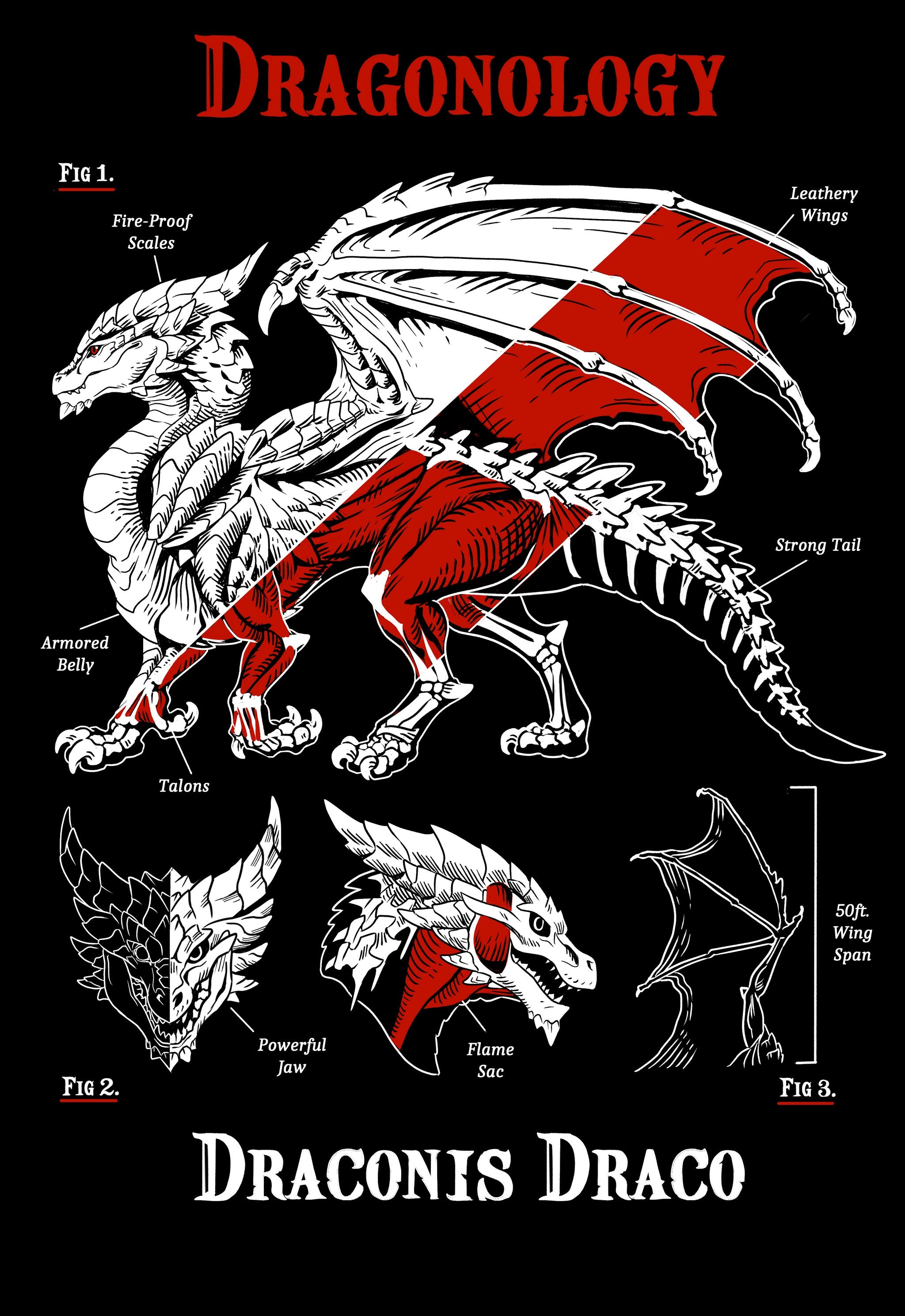 Dragonology Shirt