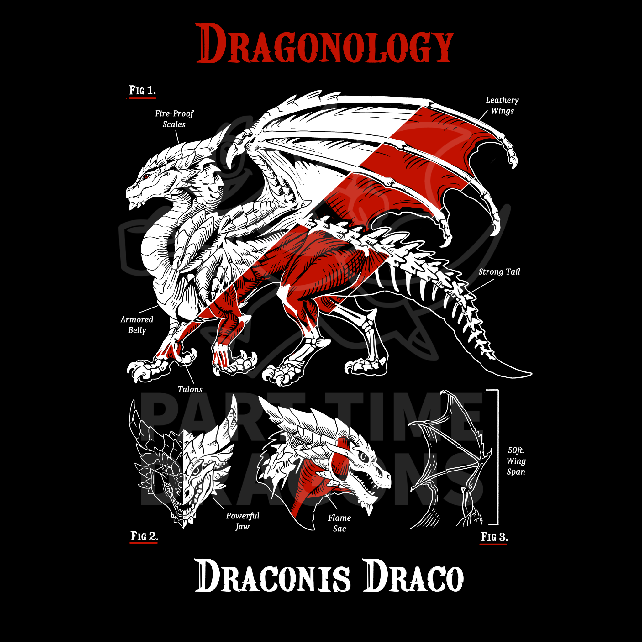 Dragonology Shirt