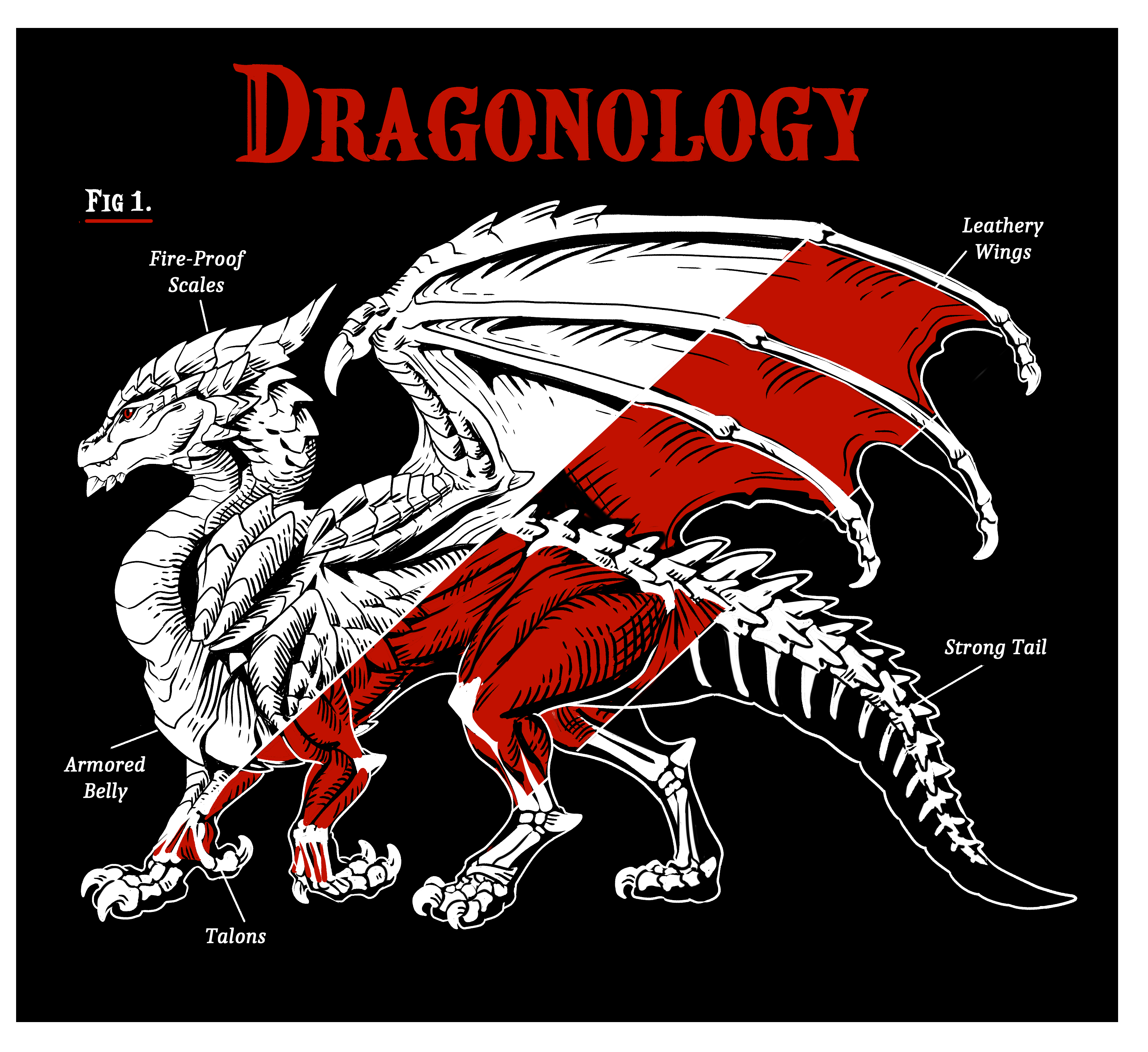 Dragonology Sticker